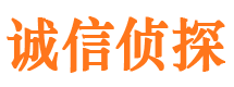 大冶调查取证